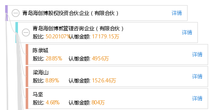 海创股票00586，探索与机遇